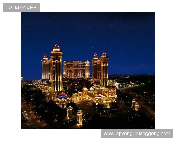 永利澳门和金沙中国在澳门博彩业中的市场份额与竞争策略深度解析 永利澳门和金沙中国在澳门博彩业中的市场份额与竞争策略深度解析