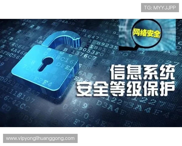 上蒲京官网安全保障措施与玩家个人信息保护策略 上蒲京官网安全保障措施与玩家个人信息保护策略