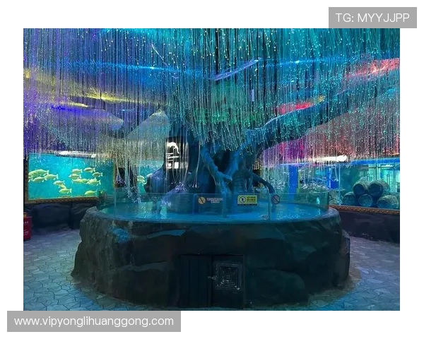 回力海立方娱乐场VIP制度介绍及会员专属福利一览 回力海立方娱乐场VIP制度介绍及会员专属福利一览