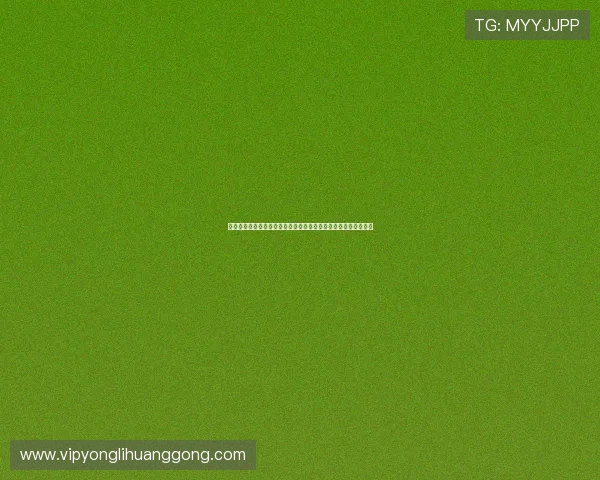 水晶宫角子机娱乐场最新版本更新内容详解带来哪些新玩法和功能