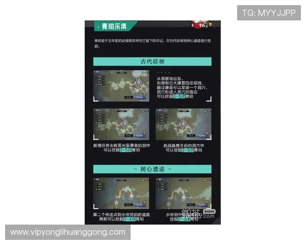 永利402手机版下载安装指南，详细步骤帮助新手快速上手畅玩游戏