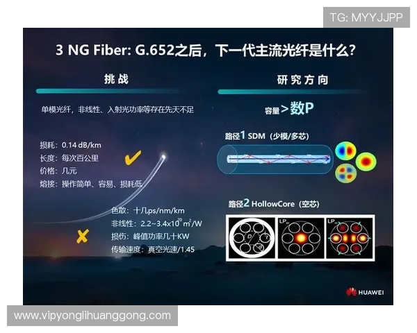 永利博彩行业发展趋势：未来线上博彩市场的创新与挑战