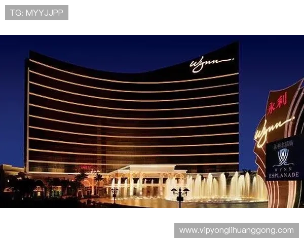 永利澳门官方网站游戏种类全景介绍多样娱乐体验满足不同玩家需求 永利澳门官方网站游戏种类全景介绍多样娱乐体验满足不同玩家需求