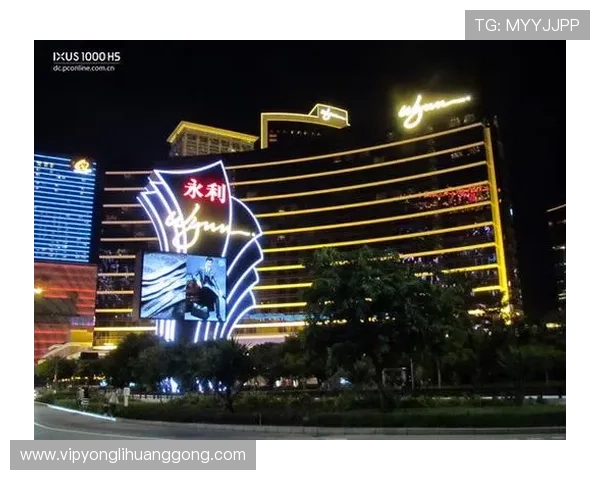 永利澳门官网首页详细指南帮助新手玩家快速上手澳门赌场游戏体验