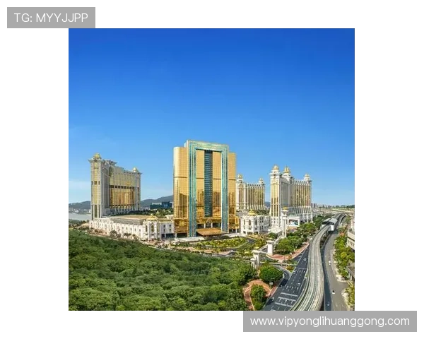 澳门百老汇网站链接导航大全，轻松找到最新登录入口与优惠活动信息