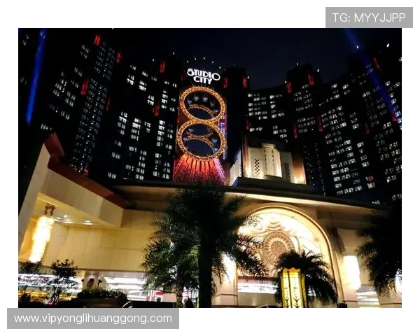 澳门贵宾厅业务全面解析：提升尊贵体验的最佳选择