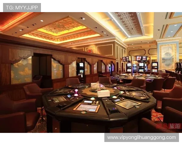 澳门赌场哪个最有名，分析最受国际游客青睐的赌场品牌