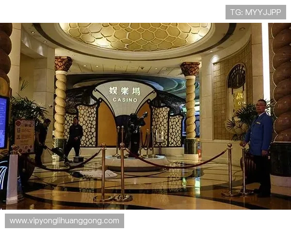 澳门赌场贵宾厅环境布置与装修风格，彰显奢华尊贵的高端氛围